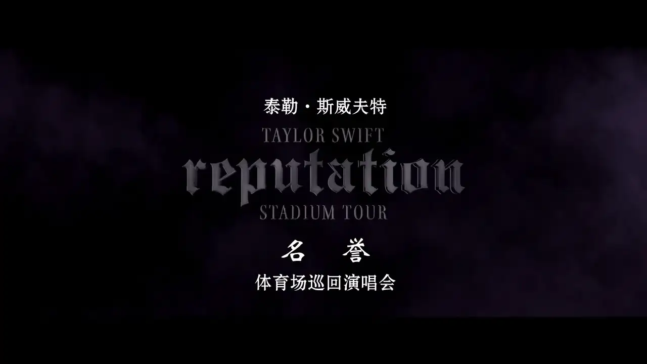 泰勒·斯威夫特名誉体育场巡回演唱会.Taylor.Swift.Reputation.Stadium.Tour.2018.中.png